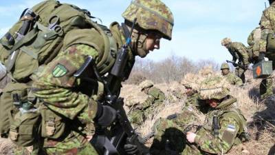 Подростки из Эстонии планируют воевать с Россией - nation-news.ru - Эстония