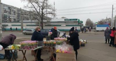 Цветочный ажиотаж перед 8 марта в Северодонецке. Где какие цены - cxid.info - Северодонецк