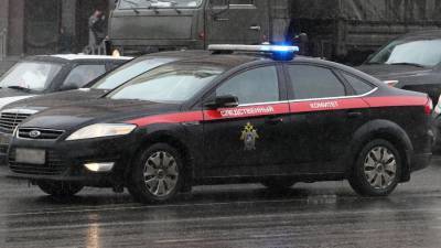 Житель Новосибирска назвал мотив убийства 17-летней возлюбленной - iz.ru - Новосибирск