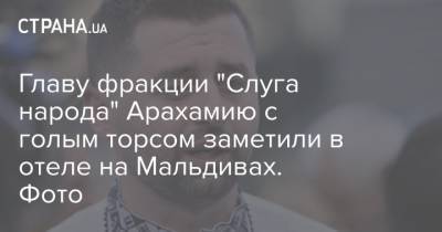 Давид Арахамия - Юлия Палийчук - Главу фракции "Слуга народа" Арахамию с голым торсом заметили в отеле на Мальдивах. Фото - strana.ua - Украина - Мальдивы
