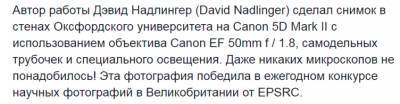 Можно ли увидеть атом без микроскопа? - pravda-tv.ru