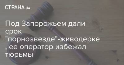 Под Запорожьем дали срок "порнозвезде"-живодерке, ее оператор избежал тюрьмы - strana.ua - Запорожская обл. - Запорожье