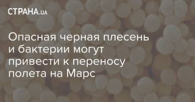 Опасная черная плесень и бактерии могут привести к переносу полета на Марс - strana.ua - county Frontier
