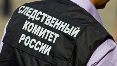 СК возбудил уголовное дело из-за убийства женщины и трёх детей в Подмосковье - russian.rt.com - Московская обл. - Пермский край