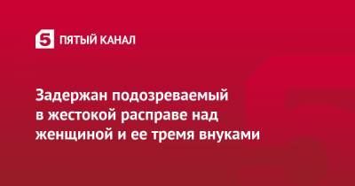 Задержан подозреваемый в жестокой расправе над женщиной и ее тремя внуками - 5-tv.ru - Московская обл. - Орехово-Зуево - Следственный Комитет - Московская область