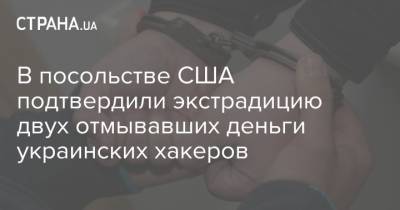 В посольстве США подтвердили экстрадицию двух отмывавших деньги украинских хакеров - strana.ua - США - Турция - Посольство