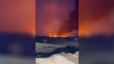 Власти назвали предварительную причину пожара на реке Обь - gazeta.ru - Сургут - Югра - Нижневартовск - Мегион