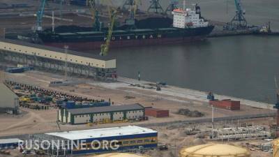 Начались поставки белорусских нефтепродуктов через российские порты - rusonline.org - Мозырь - Санкт-Петербург - Усть-Луга