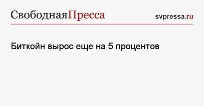 Биткойн вырос еще на 5 процентов - svpressa.ru