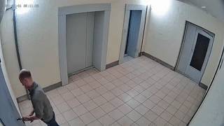 Наводит ужас на всех: жители дома в Ленобласти пожаловались на держащего их в страхе соседа - reendex.ru - Ленинградская обл. - Мурино
