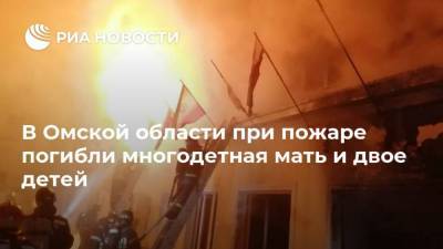 В Омской области при пожаре погибли многодетная мать и двое детей - ria.ru - Омск - Омская обл.