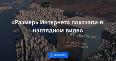 Анна Лысенко - «Размер» Интернета показали в наглядном видео - news.mail.ru