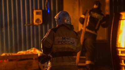 Мать и двое детей погибли при пожаре в частном доме под Омском - newinform.com - Уфа - Омск - Омская обл.
