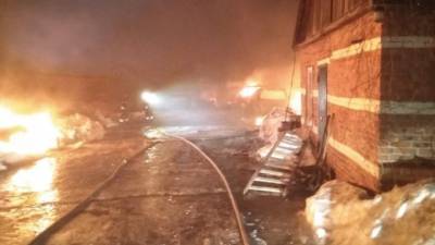 Неизвестные злоумышленники сожгли 13 машин в Тульской области - vesti.ru - Тульская обл.