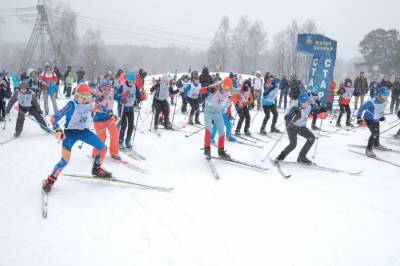 В Красногорске 600 человек пробежали триатлон - runews24.ru - Красногорск