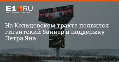 Алджамейн Стерлинг - На Кольцовском тракте появился гигантский баннер в поддержку Петра Яна - e1.ru - Екатеринбург