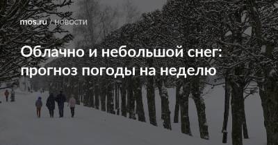 Облачно и небольшой снег: прогноз погоды на неделю - mos.ru - Москва