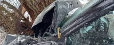 В ДТП в Новгородской области погиб восьмилетний мальчик - runews24.ru - Псков - Новгородская обл. - Великий Новгород