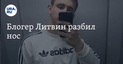 Михаил Литвин - Блогер - Блогер Литвин разбил нос - ura.news