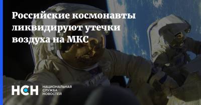 Российские космонавты ликвидируют утечки воздуха на МКС - nsn.fm - Россия