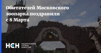 Обитателей Московского зоопарка поздравили с 8 Марта - nsn.fm