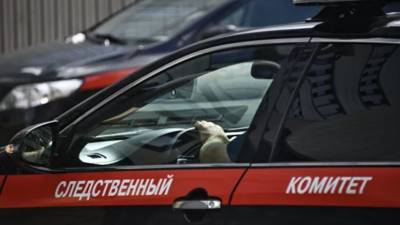 В Северной Осетии возбудили дело по факту обнаружения тел двух человек - russian.rt.com - Москва - Новосибирск - респ. Алания