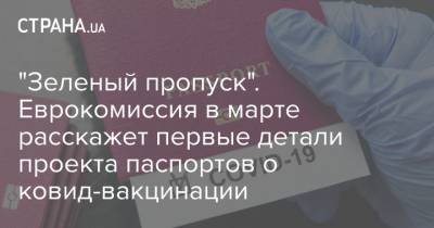 Эрик Мамер - "Зеленый пропуск". Еврокомиссия в марте расскажет первые детали проекта паспортов о ковид-вакцинации - strana.ua