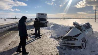 В Татарстане в ДТП погибли женщина и ребенок - iz.ru - респ. Татарстан - Самара - Тольятти - район Алексеевский