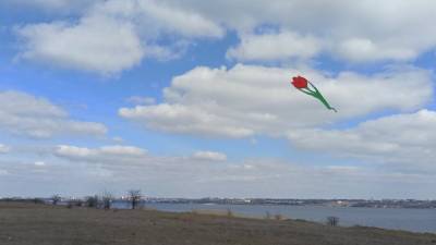 К 8 Марта: на Николаевщине в небо запустили семиметровые тюльпаны - 24tv.ua