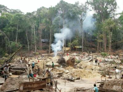 Две трети тропических лесов уничтожены или пришли в упадок - gordonua.com - Норвегия - Конго - Индонезия
