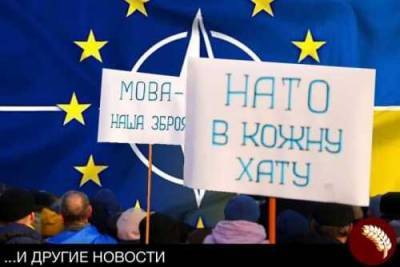 Ольга Стефанишина - Украина уверена – она заслужила своё место в НАТО - obzor.lt - Украина