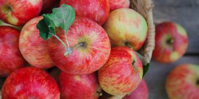В мая 2021 года яблоки вырастут в цене в три раза, заявили эксперты - ТЕЛЕГРАФ - telegraf.com.ua - Украина