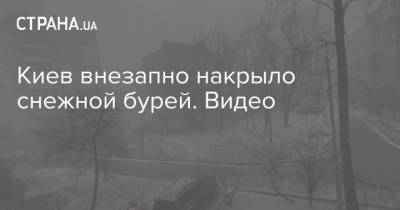 Владимир Зеленский - Сергей Стерненко - Киев внезапно накрыло снежной бурей. Видео - strana.ua - Киев
