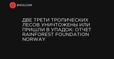 Две трети тропических лесов уничтожены или пришли в упадок: отчет Rainforest Foundation Norway - bykvu.com - Норвегия - Конго - Индонезия