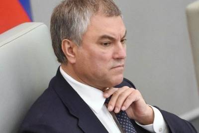 Вячеслав Володин - Действительно, ещё же не всё запретили - newsland.com - Воронеж