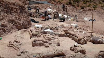 В Аргентине найдены останки огромного динозавра, жившего 140 миллионов лет назад - belta.by - Аргентина