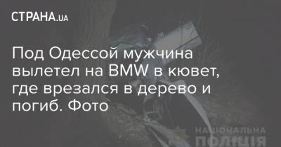 Под Одессой мужчина вылетел на BMW в кювет, где врезался в дерево и погиб. Фото - strana.ua - Киев - Одесса - Одесская обл.