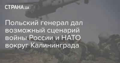 Польский генерал дал возможный сценарий войны России и НАТО вокруг Калининграда - strana.ua - Польша - Калининград
