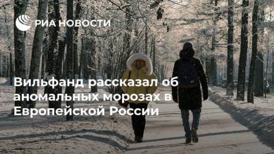 Роман Вильфанд - Вильфанд рассказал об аномальных морозах в Европейской России - ria.ru - Москва - Россия