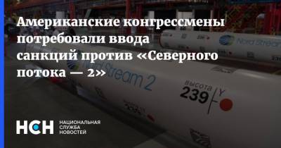 Энтони Блинкен - Американские конгрессмены потребовали ввода санкций против «Северного потока — 2» - nsn.fm