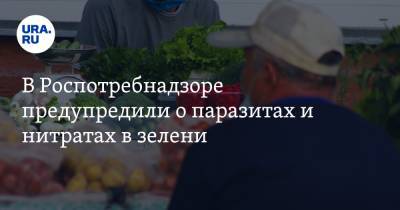 Надежда Раева - В Роспотребнадзоре предупредили о паразитах и нитратах в зелени - ura.news - Московская обл.