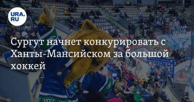 Сургут начнет конкурировать с Ханты-Мансийском за большой хоккей - ura.news - Сургут - Югра