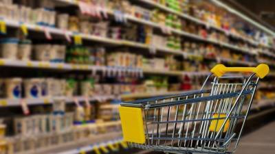 Россияне могут получить тюремный срок за фейки о росте цен на продукты - inforeactor.ru