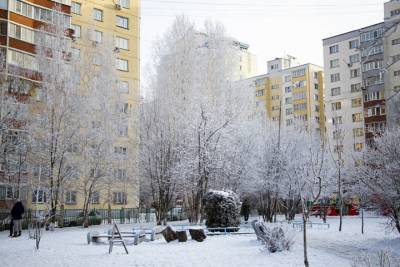 Морозы окрепнут до -20 градусов к концу недели в Новосибирске - novos.mk.ru - Новосибирск