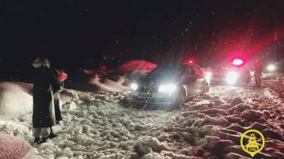 Нетрезвого водителя-лихача на "Ауди" остановили с погоней в Вартемягах - piter.tv