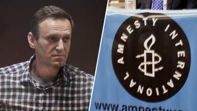 Алексей Навальный - За кулисами Amnesty International: как Навального освобождали от статуса «узника совести» - russian.rt.com