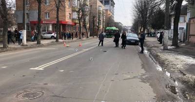 В Житомире полиция нашла водителя, который насмерть сбил женщину и ее собак на пешеходном переходе - tsn.ua - Киев - Житомир