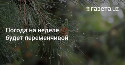 Погода на неделе будет переменчивой - gazeta.uz - Узбекистан