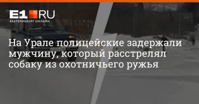 Валерий Горелых - На Урале полицейские задержали мужчину, который расстрелял собаку из охотничьего ружья - e1.ru - Екатеринбург - Свердловская обл. - Алапаевск