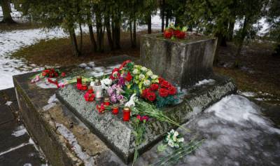 Янис Домбрава - Разрушение памятника в Екабпилсе: а все-таки где пушка? - lv.baltnews.com - Латвия